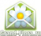 Логотип компании Доставка цветов Гранд Флора (ф-л г. Тутаев)
